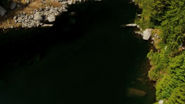 Vista aérea do lago na floresta — Vídeo de Stock