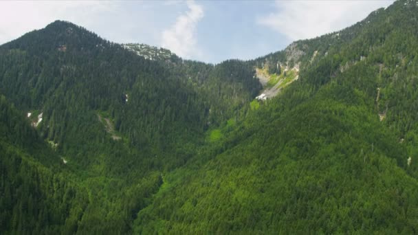 Aerial view of forest in the mountains — Stock Video