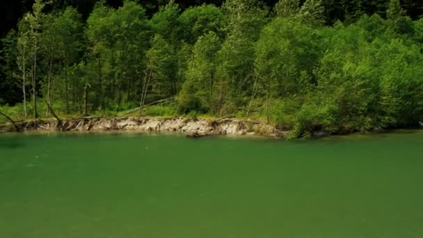 Воздушный вид на реку в лесу — стоковое видео
