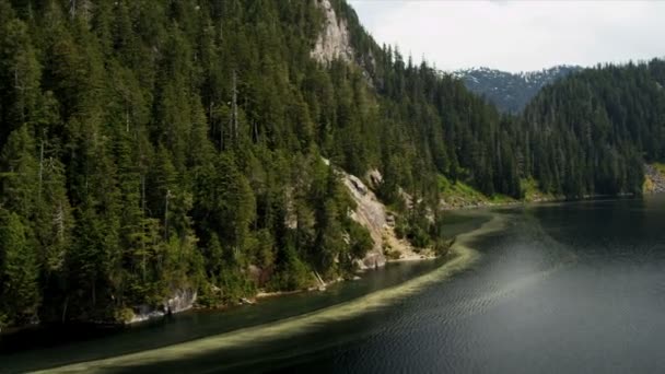 Vista aérea del lago en el bosque — Vídeos de Stock