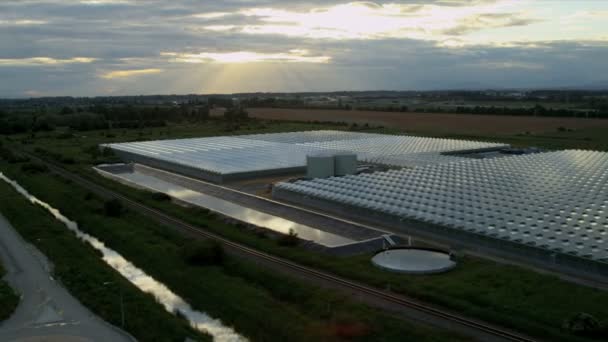 Vue aérienne des serres agricoles au coucher du soleil, Vancouver — Video