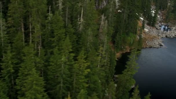 Вид с воздуха на лес в горах — стоковое видео
