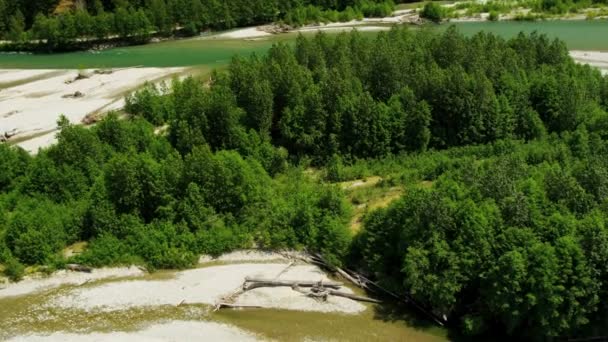 森の中の川の航空写真 — ストック動画