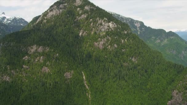 Vue aérienne de la forêt dans les montagnes — Video