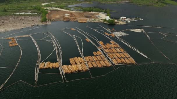 Вид с воздуха Harrison Lake log boom barrier to collect river logs, Rockies, Canada — стоковое видео