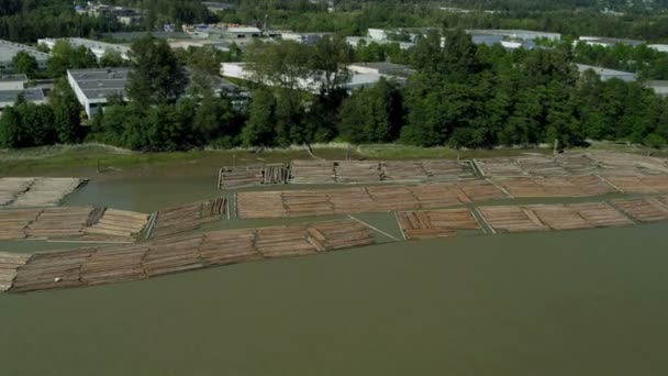 Luchtfoto van rivier logs bebost van lokale bossen, Vancouver, — Stockvideo