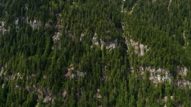 Vista aérea del bosque en las montañas — Vídeos de Stock
