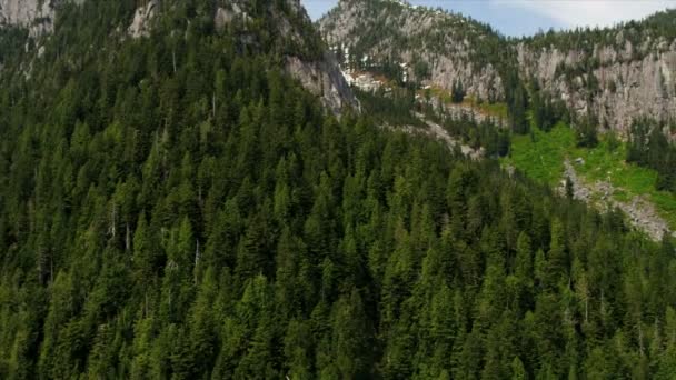 Vista aérea da floresta nas montanhas — Vídeo de Stock