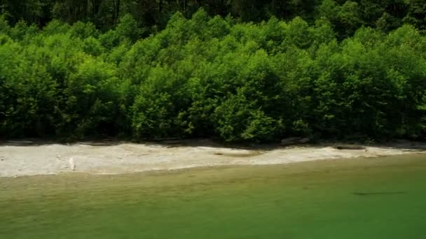 Luchtfoto uitzicht op de rivier in het forest — Stockvideo