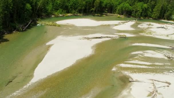 Vista aérea del río en el bosque — Vídeos de Stock