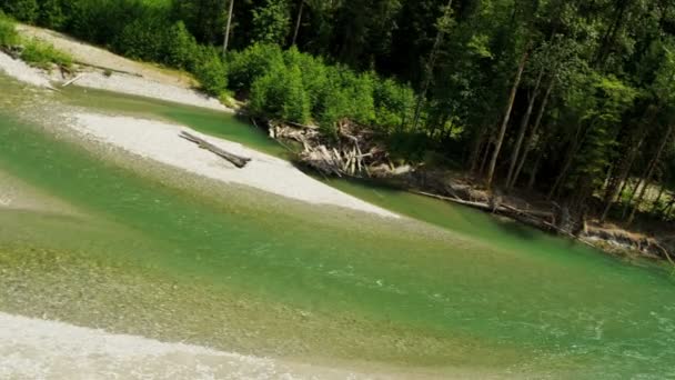 Luchtfoto uitzicht op de rivier in het forest — Stockvideo