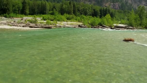 Luchtfoto uitzicht op de rivier in het forest — Stockvideo