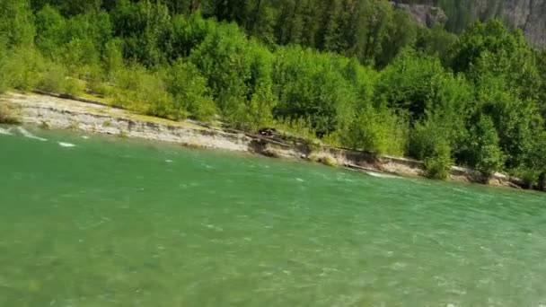 Vista aérea del río en el bosque — Vídeos de Stock