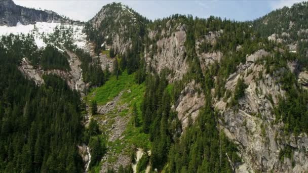 Luftaufnahme des Waldes in den Bergen — Stockvideo