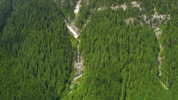 Flygfoto över skogen i bergen — Stockvideo