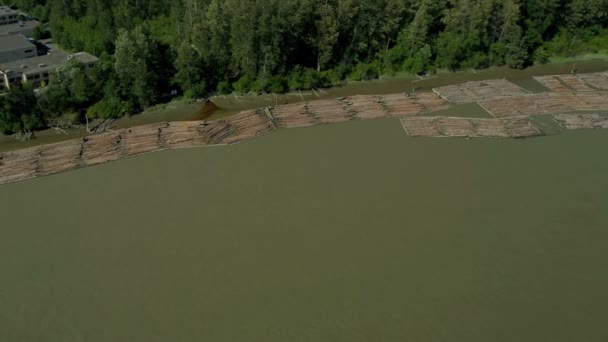 Пташиного польоту журнали timbered з місцевих лісах, Ванкувер, — стокове відео