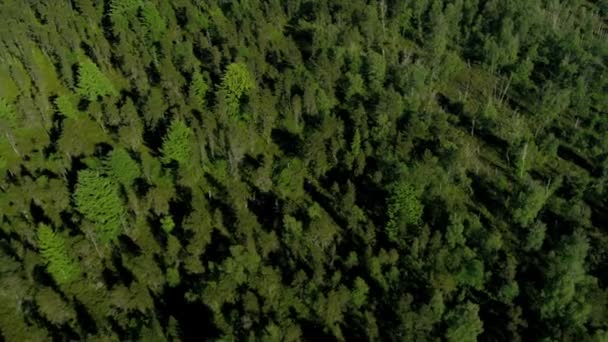 Tourbière du delta nord — Video