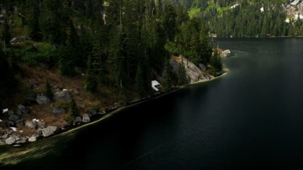 Veduta aerea del lago nella foresta — Stockvideo