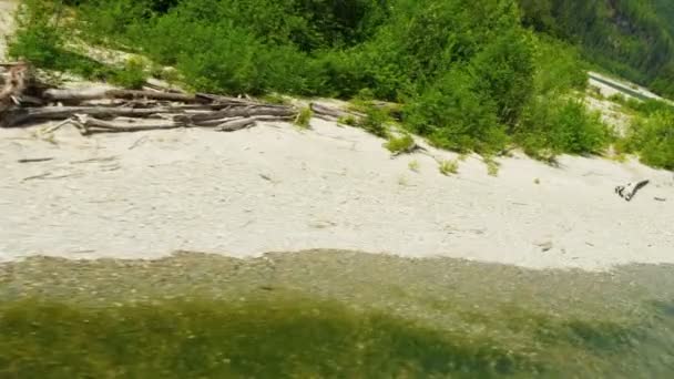 Flygfoto över floden i skogen — Stockvideo