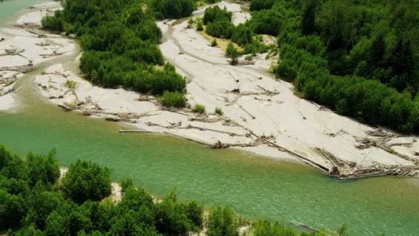 Luchtfoto uitzicht op de rivier in het forest — Stockvideo