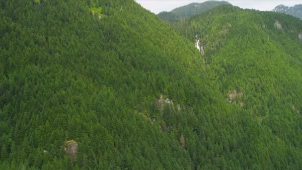A légi felvétel a erdő, a hegyek között — Stock videók