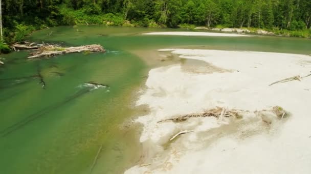Vista aérea do rio na floresta — Vídeo de Stock