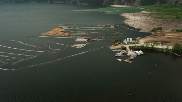 Vue aérienne Barrière en rondins du lac Harrison pour ramasser les rondins de rivière, Rocheuses, Canada — Video