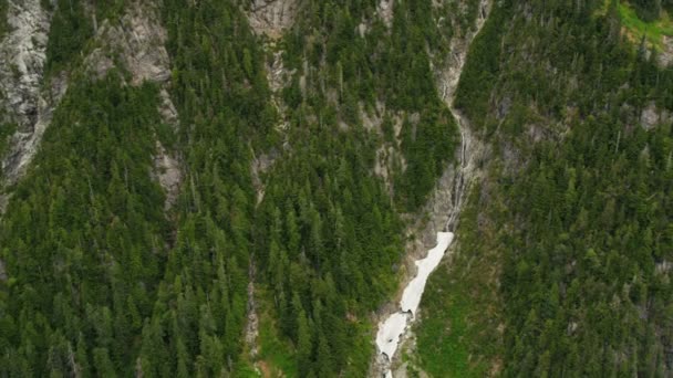 Aerial view of forest in the mountains — Stock Video