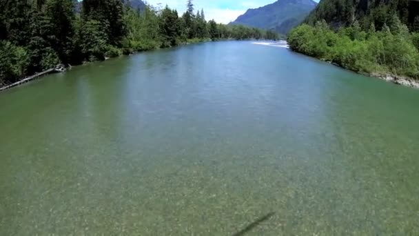 Aerial view turquoise river water forest wilderness rotor blade shadow — Stock Video