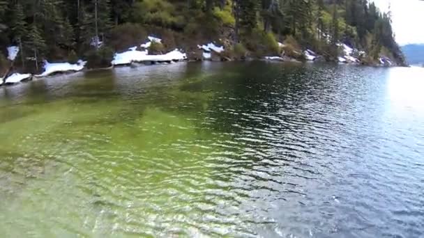 Vue aérienne de la forêt et des lacs sauvages, Canada — Video