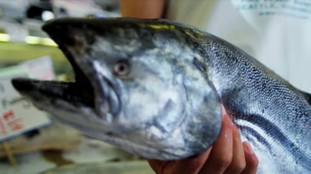 Salmón marino Pikes Fish Market Seattle, Estados Unidos — Vídeos de Stock