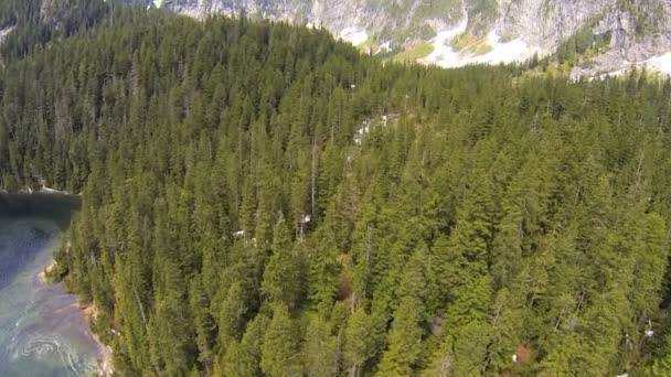 Aerial view valley forestation wilderness, Canada — Stock Video