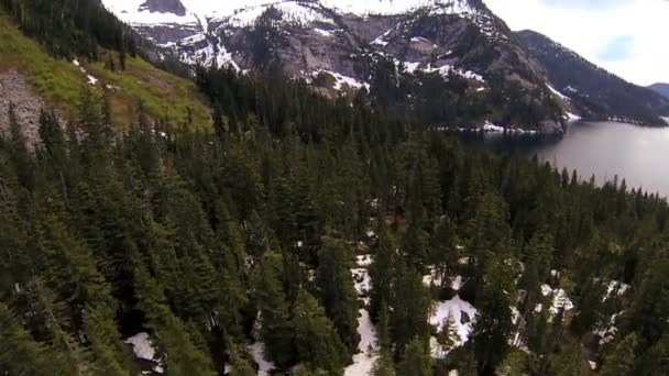 Havadan görünümü iğne yapraklı orman dağ lake, canada — Stok video