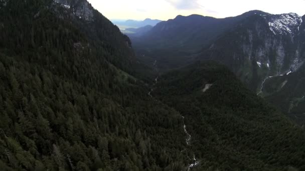 Aerial view extreme terrain valley forestation, Canada — Stock Video