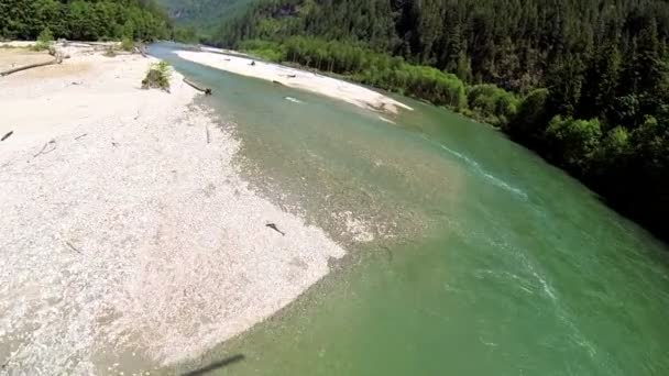 Aerial view river driftwood wilderness forest rotor blade shadow, Canada — Stock Video