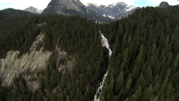 Aerial view mountain lake cascading melt water  forestation, Canada — Stock Video