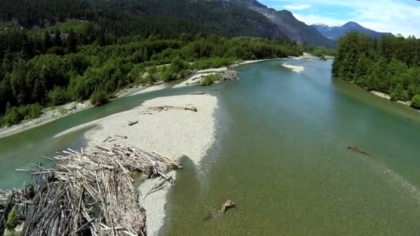 Luchtfoto wilde rivier drijfhout wildernis gebied, canada — Stockvideo