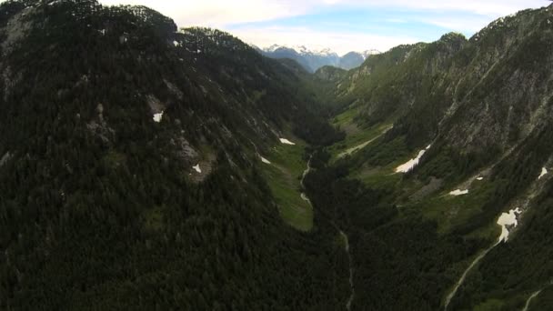 Letecký pohled na jehličnaté horské svahy říční údolí Kanada — Stock video