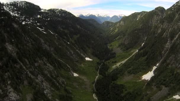 Havadan görünümü uzak dağ Vadisi ormanda vahşi, Kanada — Stok video