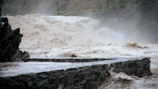 Schnell fließender überfluteter Fluss nach Regensturm, USA — Stockvideo