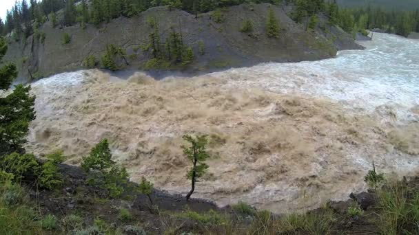 Şişmiş nehir taşkın, ABD — Stok video