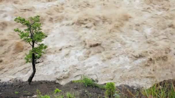 Tormenta de la naturaleza que fluye rápidamente río abajo inundado montaña — Vídeos de Stock