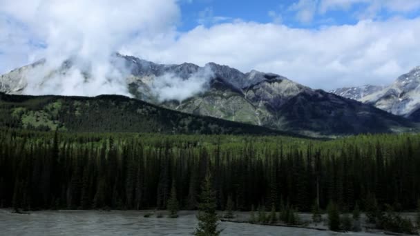 Gebirgsfluss Wildnis Gebiet, USA — Stockvideo