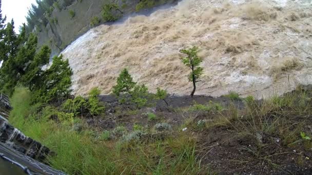 Flood water swollen river, USA — Stock Video