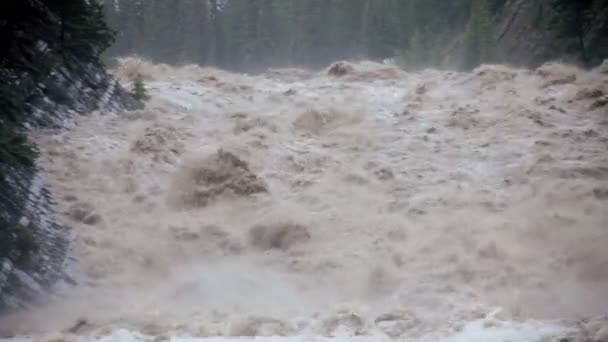 Close up raging swollen river flood waters, USA — Stock Video