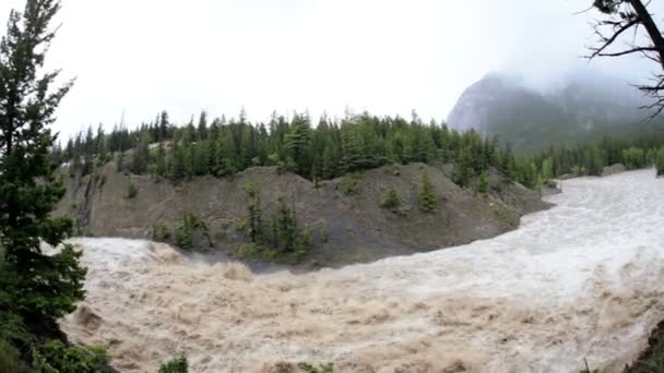 Flood water snaking down swollen mountain river — Stock Video