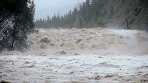 Snabbt flödande översvämmade floden efter regn storm, usa — Stockvideo