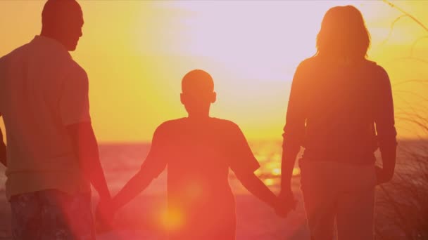 Οικογένεια, κρατώντας τα χέρια, βλέποντας το ηλιοβασίλεμα — Αρχείο Βίντεο