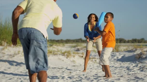 Parents et fils jouant au baseball — Video