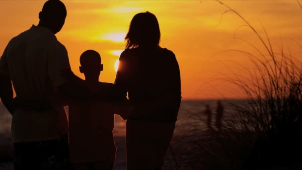 父母和儿子看日落 — 图库视频影像